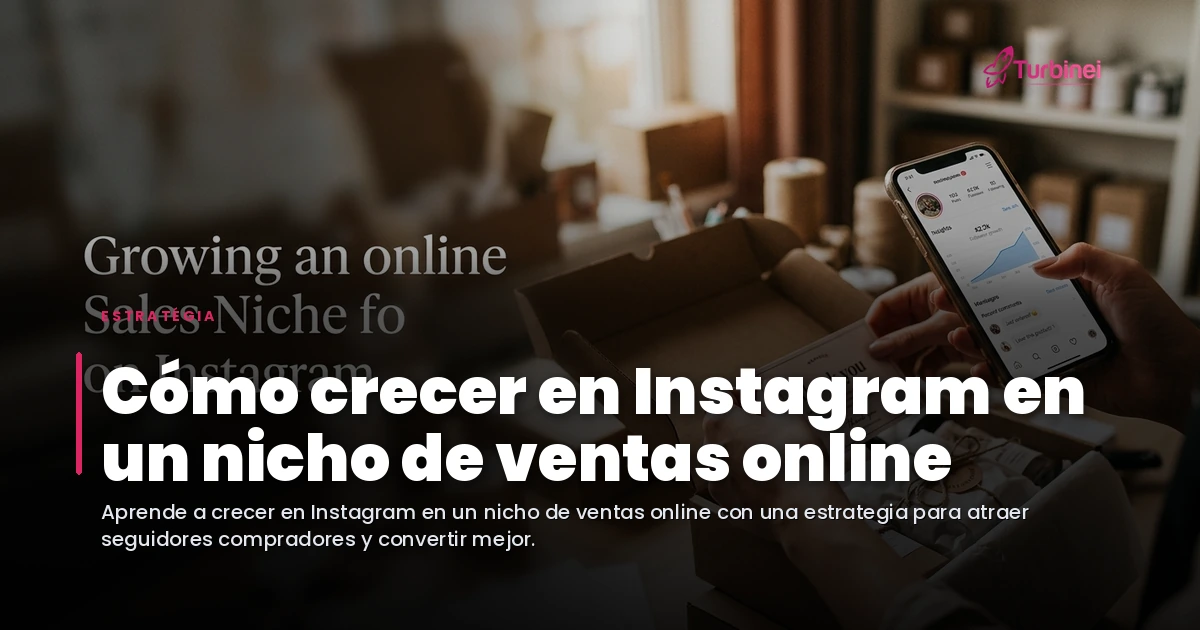 Cómo crecer en Instagram en un nicho de ventas online — Blog Turbinei